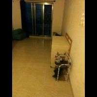 Chetan PG in Sagar Avenue Wing 2, Dhobhi Ghat, Demello Compound, Anand Nagar, Vakola, Santacruz East, Mumbai, Maharashtra, India