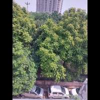 Dhani house in 794, Lane Number 2, Shakti Khand 4, Niti Khand 2, Indirapuram, Ghaziabad, Ghaziabad, Uttar Pradesh, India