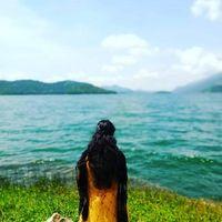 Sarika Sajith Searching For Place in Bangalore, Karnataka, India