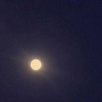 Vaishali Sharma Searching For Place in Delhi, India