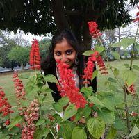 Aanchal Jain Searching For Place in Whitefield, Bengaluru, Karnataka, India
