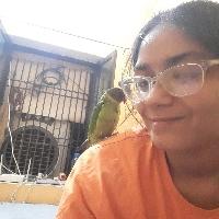 Neha Searching For Place in East Boring Canal Road, Nageshwar Colony, Sri Krishna Nagar, Kidwaipuri, Patna, Bihar, India