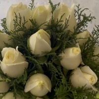 Priya Searching For Place in Velachery, Chennai, Tamil Nadu, India