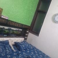 Neelakshi Searching Flatmate in Gali Number 8, Govindpuri, New Delhi, Delhi, India