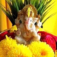 Priyanka Searching For Place in Aditya World City, Wave City, Ghaziabad, Uttar Pradesh, India