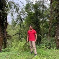 Mayank Pandey Searching Flatmate in Samali, West Bengal, India