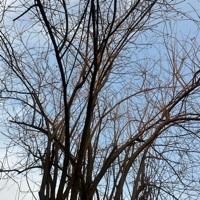 Shivi Searching For Place in Greater Noida, Uttar Pradesh, India