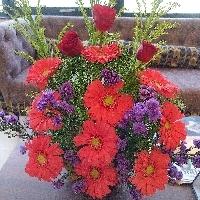 Deepika MALHOTRA Searching Flatmate in SRI MAHALAXMI RESIDENCY, Golden Heights Colony, Janachaitanya colony, Hyderabad, Telangana, India