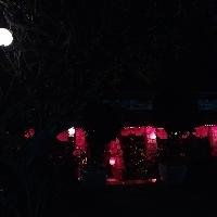 Priya Pandey Searching For Place in Hyderabad, Telangana, India