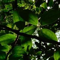 Arishkumar Searching For Place in Vettri Nagar, Tambaram, Chennai, Tamil Nadu, India