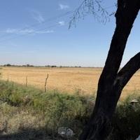 Nikhil Searching For Place in Greater Noida, Uttar Pradesh, India