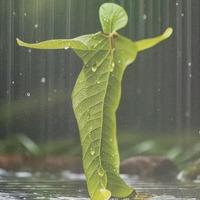 Kumar Searching For Place in Chromepet, Chennai, Tamil Nadu, India