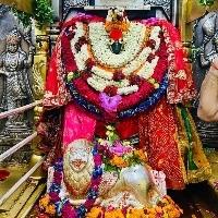Ashish Tiwari Searching For Place in Metro Station Bhopal, DB Mall, Zone-I, Maharana Pratap Nagar, Bhopal, Madhya Pradesh, India