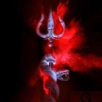 Manav Searching Flatmate in Ajpa Society, DRONAGIRI APARTMENT, Sector 11, Vasundhara, Ghaziabad, Uttar Pradesh, India