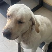Shivam Searching For Place in Pune, Maharashtra, India