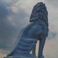 Rakesh Kumar Searching For Place in Ahmedabad, Gujarat, India