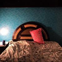 Trisha Searching Flatmate in Lajpat Nagar I, Lajpat Nagar, New Delhi, Delhi, India