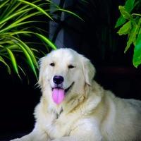 Madhusudanarao Searching For Place in Hyderabad, Telangana, India