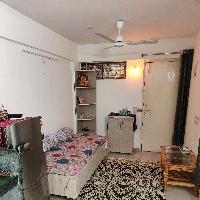 Raj Pawar Searching Flatmate in Ida Amaltas, Bulandshahr, Scheme Number 136, Indore, Madhya Pradesh, India