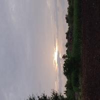 Samarth Searching For Place in Pune, Maharashtra, India