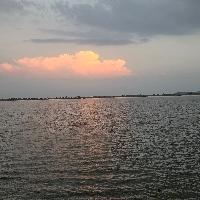 Kuldeep Searching For Place in K. K. Nagar, Chennai, Tamil Nadu, India