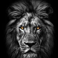 Priyanka Searching Flatmate in Pocket-C, Mayur Vihar Phase II, Mayur Vihar, Delhi, India