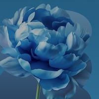 Harshit Gupta Searching For Place in Indore, Madhya Pradesh, India