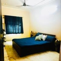 Anushka Searching Flatmate in Katwaria Sarai, New Delhi, Delhi, India