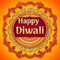 Robin Searching For Place in Noida, Uttar Pradesh, India