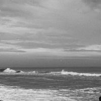 Varsha Searching For Place in Chennai, Tamil Nadu, India