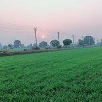 Pihu Rajput Searching For Place in Delhi, India