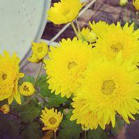 Pappu Kumar Searching For Place in Indrapuri, Keshri Nagar, Patna, Bihar, India
