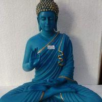 Neha Khare Searching Flatmate in Sector 137 Road, Blossom County, Sector 137, Noida, Uttar Pradesh, India