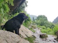 Aayush Shukla Searching For Place in Gurugram, Haryana, India