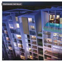 Priya Reddy Searching Flatmate in H.No 36, Park View Apartment, Sector 15 Part II, Gurgaon